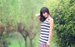 梦之旅2中文版下载